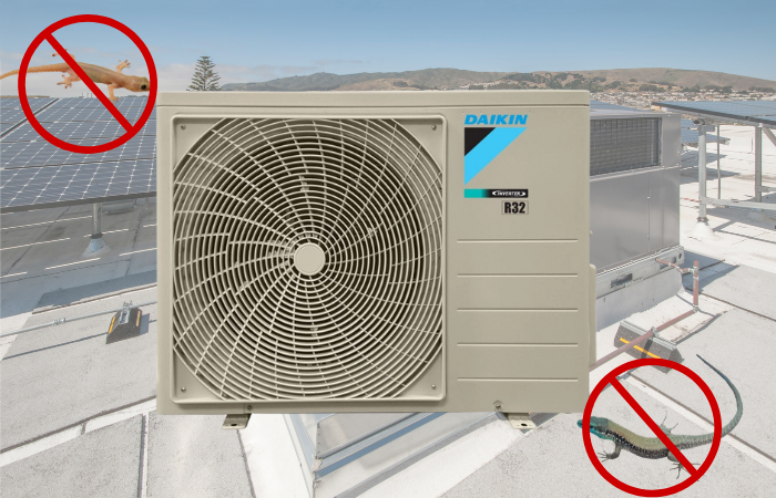 Ngăn thằn lằn xâm nhập vào SWBOX